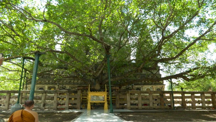 महाबोधि मंदिर: जहाँ बुद्ध को ज्ञान मिला | इतिहास और दो प्रेरक कहानियाँ